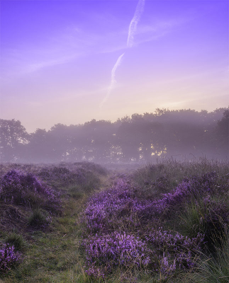 <i class='fa fa-user'></i>&nbsp;wimwes&nbsp;|  Ochtendnevel&nbsp; <i class='fa fa-eye'>&nbsp;100</i> &nbsp;<i class='fa fa-thumbs-up'>&nbsp;2</i> &nbsp; <i class='fa fa-comment-o'>&nbsp;3</i>