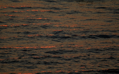 <i class='fa fa-user'></i>&nbsp;Ruben de Bruijn&nbsp;|  Zonsondergang&nbsp; <i class='fa fa-eye'>&nbsp;61</i> &nbsp;<i class='fa fa-thumbs-up'>&nbsp;1</i> &nbsp; <i class='fa fa-comment-o'>&nbsp;2</i>