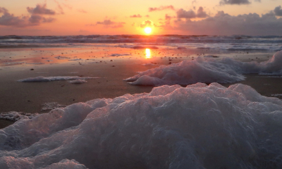 <i class='fa fa-user'></i>&nbsp;rixte&nbsp;|  Veel schuim op het strand!&nbsp; <i class='fa fa-eye'>&nbsp;90</i> &nbsp;<i class='fa fa-thumbs-up'>&nbsp;3</i> &nbsp; <i class='fa fa-comment-o'>&nbsp;5</i>