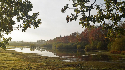 <i class='fa fa-user'></i>&nbsp;kooyammers&nbsp;|  Ven in Mastbos&nbsp; <i class='fa fa-eye'>&nbsp;74</i> &nbsp;<i class='fa fa-thumbs-up'>&nbsp;1</i> &nbsp; <i class='fa fa-comment-o'>&nbsp;3</i>