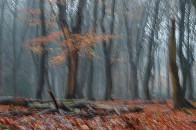 <i class='fa fa-user'></i>&nbsp;Henk Bouter&nbsp;|  Dansende Bomen&nbsp; <i class='fa fa-eye'>&nbsp;116</i> &nbsp; <i class='fa fa-comment-o'>&nbsp;8</i>