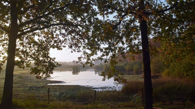 <i class='fa fa-user'></i>&nbsp;kooyammers&nbsp;|  Ven in het Mastbos II&nbsp; <i class='fa fa-eye'>&nbsp;85</i> &nbsp;<i class='fa fa-thumbs-up'>&nbsp;4</i> &nbsp; <i class='fa fa-comment-o'>&nbsp;4</i>