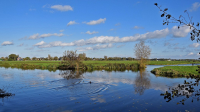 <i class='fa fa-user'></i>&nbsp;kooyammers&nbsp;| &nbsp; <i class='fa fa-eye'>&nbsp;76</i> &nbsp;<i class='fa fa-thumbs-up'>&nbsp;2</i> &nbsp; <i class='fa fa-comment-o'>&nbsp;5</i>