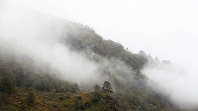 <i class='fa fa-user'></i>&nbsp;Arjen Drost&nbsp;|  Het nevelwoud&nbsp; <i class='fa fa-eye'>&nbsp;78</i> &nbsp;<i class='fa fa-thumbs-up'>&nbsp;1</i> &nbsp; <i class='fa fa-comment-o'>&nbsp;3</i>