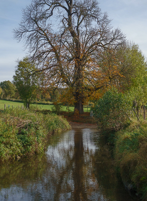 <i class='fa fa-user'></i>&nbsp;Jurgen Maassen&nbsp;|  Selzerbeek&nbsp; <i class='fa fa-eye'>&nbsp;57</i> &nbsp; <i class='fa fa-comment-o'>&nbsp;1</i>