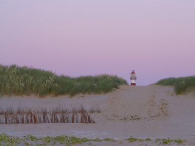 <i class='fa fa-user'></i> brain | Ameland  <i class='fa fa-eye'> 291</i>   <i class='fa fa-comment-o'> 1</i>