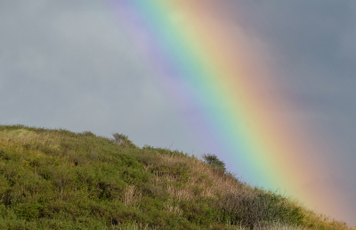 <i class='fa fa-user'></i>&nbsp;Eef Kieft&nbsp;|  Alle kleuren van de regenboog&nbsp; <i class='fa fa-eye'>&nbsp;70</i> &nbsp; <i class='fa fa-comment-o'>&nbsp;2</i>