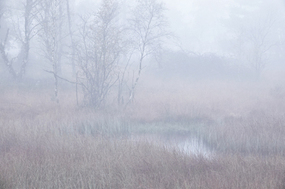 <i class='fa fa-user'></i>&nbsp;nelappelmelk&nbsp;|  Mist bij het ven&nbsp; <i class='fa fa-eye'>&nbsp;100</i> &nbsp;<i class='fa fa-thumbs-up'>&nbsp;2</i> &nbsp; <i class='fa fa-comment-o'>&nbsp;3</i>