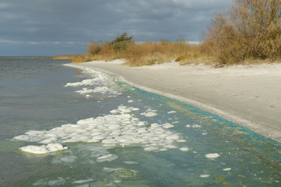 <i class='fa fa-user'></i>&nbsp;Hendrik van Kampen&nbsp;|  Strand Workum&nbsp; <i class='fa fa-eye'>&nbsp;142</i> &nbsp;<i class='fa fa-thumbs-up'>&nbsp;1</i> &nbsp; <i class='fa fa-comment-o'>&nbsp;6</i>