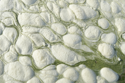 <i class='fa fa-user'></i>&nbsp;Hendrik van Kampen&nbsp;|  Schuim aan het strand&nbsp; <i class='fa fa-eye'>&nbsp;155</i> &nbsp;<i class='fa fa-thumbs-up'>&nbsp;5</i> &nbsp; <i class='fa fa-comment-o'>&nbsp;6</i>