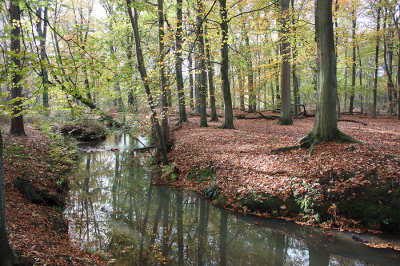 <i class='fa fa-user'></i>&nbsp;Paul Vandebroek&nbsp;|  Rust&nbsp; <i class='fa fa-eye'>&nbsp;115</i> &nbsp;<i class='fa fa-thumbs-up'>&nbsp;1</i> &nbsp; <i class='fa fa-comment-o'>&nbsp;4</i>