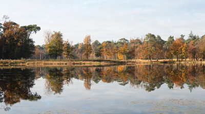 <i class='fa fa-user'></i>&nbsp;Johan van Gurp&nbsp;|  Herfst reflecties op het Putven 1&nbsp; <i class='fa fa-eye'>&nbsp;80</i> &nbsp;<i class='fa fa-thumbs-up'>&nbsp;1</i> &nbsp; <i class='fa fa-comment-o'>&nbsp;3</i>