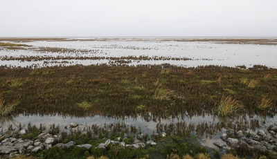 <i class='fa fa-user'></i>&nbsp;Ben Aalders&nbsp;|  Paezumerlannen&nbsp; <i class='fa fa-eye'>&nbsp;73</i> &nbsp;<i class='fa fa-thumbs-up'>&nbsp;2</i> &nbsp; <i class='fa fa-comment-o'>&nbsp;3</i>