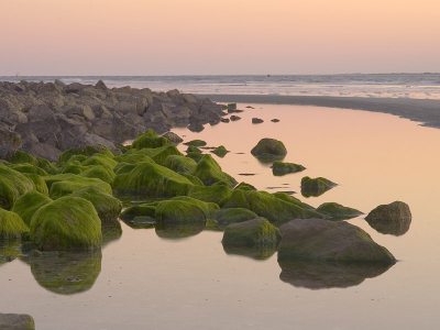 <i class='fa fa-user'></i> brain | Strand ameland  <i class='fa fa-eye'> 347</i>   <i class='fa fa-comment-o'> 5</i>