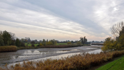 <i class='fa fa-user'></i>&nbsp;kooyammers&nbsp;|  Herfst langs de Binnenlek&nbsp; <i class='fa fa-eye'>&nbsp;81</i> &nbsp;<i class='fa fa-thumbs-up'>&nbsp;3</i> &nbsp; <i class='fa fa-comment-o'>&nbsp;4</i>