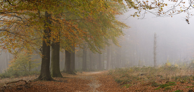 <i class='fa fa-user'></i>&nbsp;Eric Gibcus&nbsp;|  Landschap&nbsp; <i class='fa fa-eye'>&nbsp;119</i> &nbsp; <i class='fa fa-comment-o'>&nbsp;3</i>