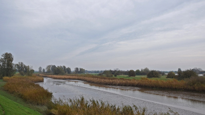 <i class='fa fa-user'></i>&nbsp;kooyammers&nbsp;|  De Bol in de herfst&nbsp; <i class='fa fa-eye'>&nbsp;67</i> &nbsp;<i class='fa fa-thumbs-up'>&nbsp;1</i> &nbsp; <i class='fa fa-comment-o'>&nbsp;2</i>