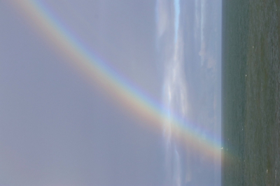 <i class='fa fa-user'></i>&nbsp;Mark de Bruijn&nbsp;|  Regenboog&nbsp; <i class='fa fa-eye'>&nbsp;136</i> &nbsp; <i class='fa fa-comment-o'>&nbsp;6</i>