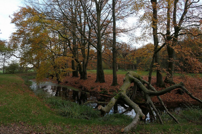 <i class='fa fa-user'></i>&nbsp;frbeuming&nbsp;|  Landschap&nbsp; <i class='fa fa-eye'>&nbsp;89</i> &nbsp; <i class='fa fa-comment-o'>&nbsp;2</i>