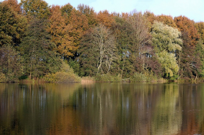 <i class='fa fa-user'></i>&nbsp;frbeuming&nbsp;|  Landschap&nbsp; <i class='fa fa-eye'>&nbsp;67</i> &nbsp; <i class='fa fa-comment-o'>&nbsp;2</i>