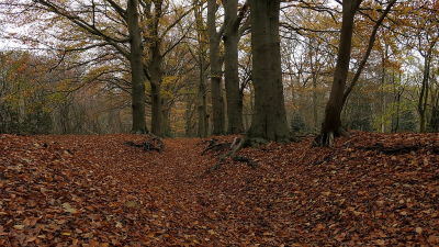 <i class='fa fa-user'></i>&nbsp;frbeuming&nbsp;|  Landschap&nbsp; <i class='fa fa-eye'>&nbsp;67</i> &nbsp; <i class='fa fa-comment-o'>&nbsp;3</i>