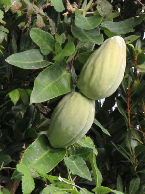 <i class='fa fa-user'></i>&nbsp;ggerretje&nbsp;|  Motplant&nbsp; <i class='fa fa-eye'>&nbsp;91</i> &nbsp; <i class='fa fa-comment-o'>&nbsp;4</i>