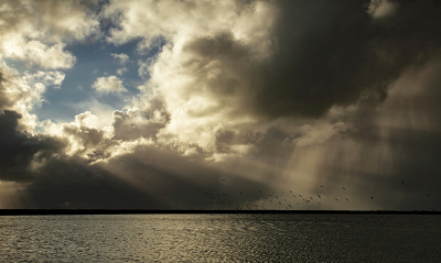 <i class='fa fa-user'></i>&nbsp;Pieter  LJ&nbsp;|  Turbulente tijden&nbsp; <i class='fa fa-eye'>&nbsp;101</i> &nbsp;<i class='fa fa-thumbs-up'>&nbsp;9</i> &nbsp; <i class='fa fa-comment-o'>&nbsp;5</i>