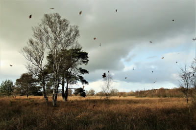 <i class='fa fa-user'></i>&nbsp;frbeuming&nbsp;|  Landschap&nbsp; <i class='fa fa-eye'>&nbsp;94</i> &nbsp;<i class='fa fa-thumbs-up'>&nbsp;1</i> &nbsp; <i class='fa fa-comment-o'>&nbsp;6</i>