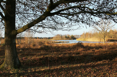 <i class='fa fa-user'></i>&nbsp;frbeuming&nbsp;|  Landschap&nbsp; <i class='fa fa-eye'>&nbsp;63</i> &nbsp;<i class='fa fa-thumbs-up'>&nbsp;1</i> &nbsp; <i class='fa fa-comment-o'>&nbsp;3</i>