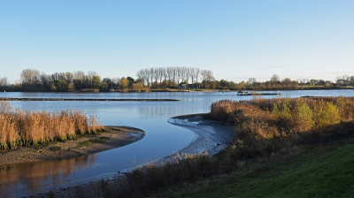 <i class='fa fa-user'></i>&nbsp;kooyammers&nbsp;|  Nagenoeg gladde Lek&nbsp; <i class='fa fa-eye'>&nbsp;86</i> &nbsp;<i class='fa fa-thumbs-up'>&nbsp;3</i> &nbsp; <i class='fa fa-comment-o'>&nbsp;5</i>