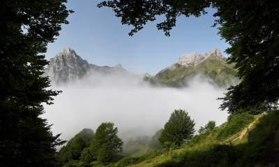 <i class='fa fa-user'></i>&nbsp;Eric Gibcus&nbsp;|  Pyrenee�n&nbsp; <i class='fa fa-eye'>&nbsp;108</i> &nbsp;<i class='fa fa-thumbs-up'>&nbsp;4</i> &nbsp; <i class='fa fa-comment-o'>&nbsp;4</i>