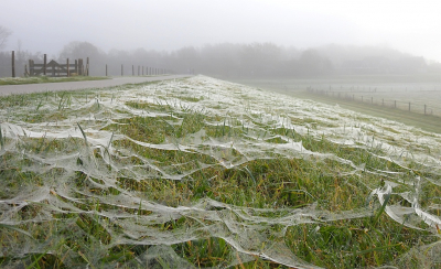 <i class='fa fa-user'></i>&nbsp;sieb&nbsp;|  Hangmatweb&nbsp; <i class='fa fa-eye'>&nbsp;145</i> &nbsp;<i class='fa fa-thumbs-up'>&nbsp;6</i> &nbsp; <i class='fa fa-comment-o'>&nbsp;6</i>