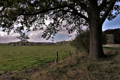 <i class='fa fa-user'></i>&nbsp;frbeuming&nbsp;|  Landschap&nbsp; <i class='fa fa-eye'>&nbsp;83</i> &nbsp;<i class='fa fa-thumbs-up'>&nbsp;1</i> &nbsp; <i class='fa fa-comment-o'>&nbsp;3</i>