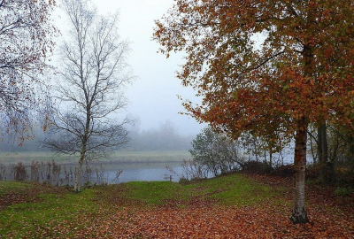 <i class='fa fa-user'></i>&nbsp;Ben Aalders&nbsp;|  Achtertuin&nbsp; <i class='fa fa-eye'>&nbsp;87</i> &nbsp;<i class='fa fa-thumbs-up'>&nbsp;1</i> &nbsp; <i class='fa fa-comment-o'>&nbsp;2</i>