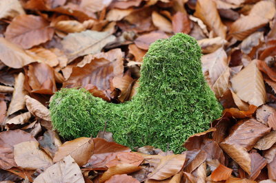 <i class='fa fa-user'></i>&nbsp;Paul Vandebroek&nbsp;|  Herfst&nbsp; <i class='fa fa-eye'>&nbsp;72</i> &nbsp;<i class='fa fa-thumbs-up'>&nbsp;1</i> &nbsp; <i class='fa fa-comment-o'>&nbsp;2</i>