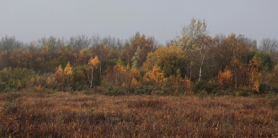 <i class='fa fa-user'></i>&nbsp;Ben Aalders&nbsp;|  Herfstkleuren&nbsp; <i class='fa fa-eye'>&nbsp;69</i> &nbsp;<i class='fa fa-thumbs-up'>&nbsp;1</i> &nbsp; <i class='fa fa-comment-o'>&nbsp;1</i>