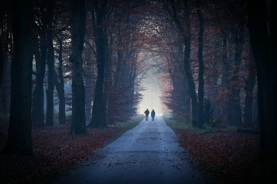 <i class='fa fa-user'></i>&nbsp;Bert Veerman&nbsp;|  ""Het Licht ''&nbsp; <i class='fa fa-eye'>&nbsp;110</i> &nbsp;<i class='fa fa-thumbs-up'>&nbsp;3</i> &nbsp; <i class='fa fa-comment-o'>&nbsp;6</i>