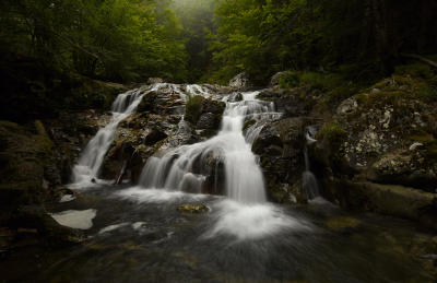 <i class='fa fa-user'></i>&nbsp;Eric Gibcus&nbsp;|  Waterval&nbsp; <i class='fa fa-eye'>&nbsp;126</i> &nbsp;<i class='fa fa-thumbs-up'>&nbsp;2</i> &nbsp; <i class='fa fa-comment-o'>&nbsp;4</i>