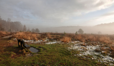 <i class='fa fa-user'></i>&nbsp;nelappelmelk&nbsp;|  Vleugje winter&nbsp; <i class='fa fa-eye'>&nbsp;149</i> &nbsp; <i class='fa fa-comment-o'>&nbsp;7</i>