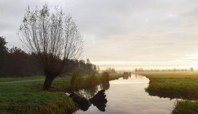 <i class='fa fa-user'></i>&nbsp;kooyammers&nbsp;|  Ochtendsfeer bij Krimpen aan de Lek&nbsp; <i class='fa fa-eye'>&nbsp;85</i> &nbsp;<i class='fa fa-thumbs-up'>&nbsp;3</i> &nbsp; <i class='fa fa-comment-o'>&nbsp;4</i>