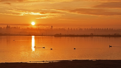 <i class='fa fa-user'></i>&nbsp;kooyammers&nbsp;|  Dageraad bij Surfplas&nbsp; <i class='fa fa-eye'>&nbsp;105</i> &nbsp;<i class='fa fa-thumbs-up'>&nbsp;3</i> &nbsp; <i class='fa fa-comment-o'>&nbsp;6</i>