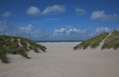 <i class='fa fa-user'></i>&nbsp;Ruben de Bruijn&nbsp;|  Strand&nbsp; <i class='fa fa-eye'>&nbsp;130</i> &nbsp;<i class='fa fa-thumbs-up'>&nbsp;1</i> &nbsp; <i class='fa fa-comment-o'>&nbsp;4</i>