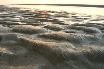 Aan het strand op Terschelling aan de Waddenzee zijde. Aan het begin van de avond. Het was eb op dat moment.