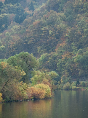 <i class='fa fa-user'></i>&nbsp;Tim Oord&nbsp;|  Herfst rondom de Moezel&nbsp; <i class='fa fa-eye'>&nbsp;93</i> &nbsp; <i class='fa fa-comment-o'>&nbsp;4</i>