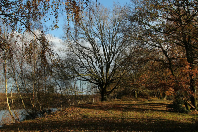 <i class='fa fa-user'></i>&nbsp;frbeuming&nbsp;|  Landschap&nbsp; <i class='fa fa-eye'>&nbsp;64</i> &nbsp; <i class='fa fa-comment-o'>&nbsp;2</i>