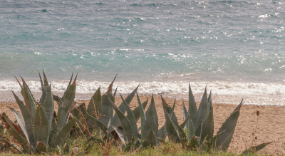 <i class='fa fa-user'></i>&nbsp;Henk Bouter&nbsp;|  Honderdjarige Alo�&nbsp; <i class='fa fa-eye'>&nbsp;95</i> &nbsp;<i class='fa fa-thumbs-up'>&nbsp;1</i> &nbsp; <i class='fa fa-comment-o'>&nbsp;3</i>