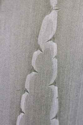 <i class='fa fa-user'></i>&nbsp;Henk Bouter&nbsp;|  Honderdjarige Alo�&nbsp; <i class='fa fa-eye'>&nbsp;102</i> &nbsp; <i class='fa fa-comment-o'>&nbsp;2</i>