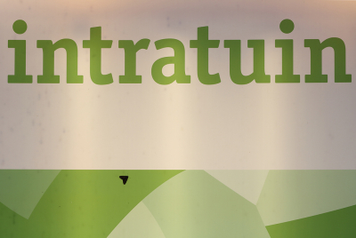 <i class='fa fa-user'></i>&nbsp;Ad Sprang&nbsp;|  Grote Wintervlinder&nbsp; <i class='fa fa-eye'>&nbsp;107</i> &nbsp; <i class='fa fa-comment-o'>&nbsp;6</i>