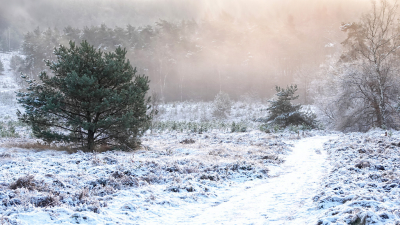 <i class='fa fa-user'></i>&nbsp;nelappelmelk&nbsp;|  Winterse omstandigheden&nbsp; <i class='fa fa-eye'>&nbsp;182</i> &nbsp;<i class='fa fa-thumbs-up'>&nbsp;13</i> &nbsp; <i class='fa fa-comment-o'>&nbsp;12</i>