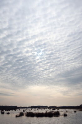 <i class='fa fa-user'></i>&nbsp;rixte&nbsp;|  Stilte&nbsp; <i class='fa fa-eye'>&nbsp;80</i> &nbsp; <i class='fa fa-comment-o'>&nbsp;4</i>